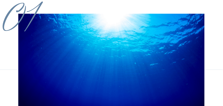 海洋深層水